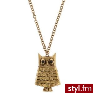 Get Wise Necklace - Polyvore. Pobrano ze strony: http://www.polyvore.com/get_wise_necklace/thing?id=26099496 - Pozostałe Dodatki Moda
