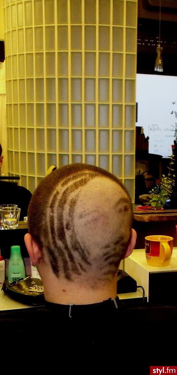 Punk Rock Alternatywne Średnie Fryzury