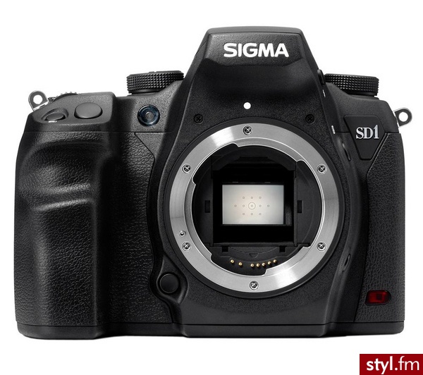 Sigma SD1 Merrill Body - Body Bielizna Moda