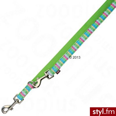 Trixie Stripes smycz dla psa - M–L: 2,00 m x 20 mm - Psy Zwierzaki