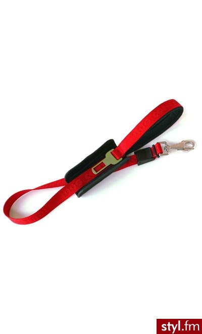PATENTO PET DOG CONTROL BASIC SMYCZ 70-120CM - CZERWONA - Psy Zwierzaki