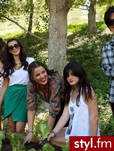 Kardashians - Moda uliczna Inne Moda