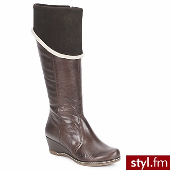 Pitillos BUTY NAJERILLA Moka - Brązowy - Kozaki Buty Moda