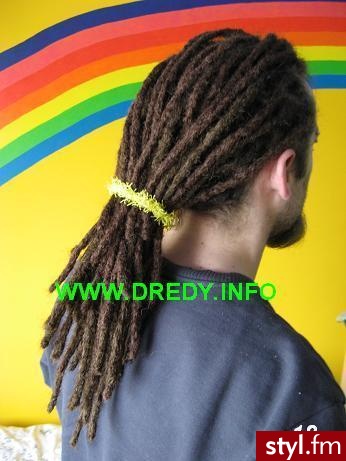 DREDY-WARKOCZYKI -> www.dredy.info - Dredy Alternatywne Średnie Fryzury