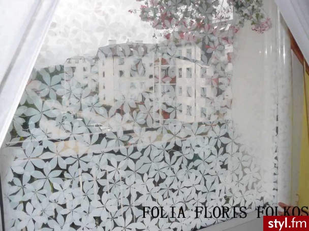 FOLIA OKIENNA DEKORACYJNA FLORIS - BIAŁE KWIATY - Mój pokój Wnętrza