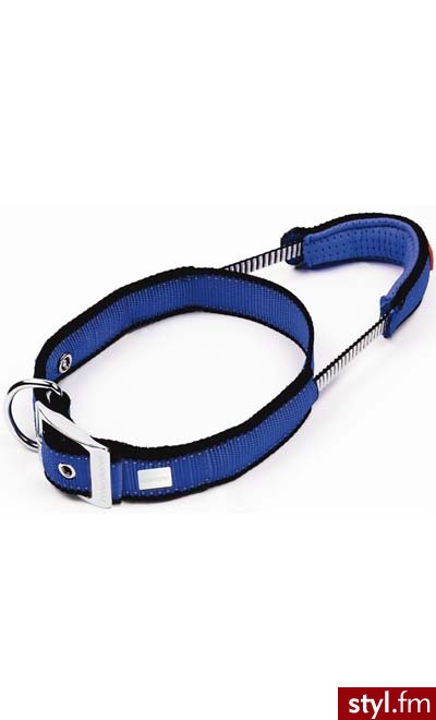 PATENTO PET DOG CONTROL PREMIUM OBROŻA L 51-60CM - NIEBIESKA - Psy Zwierzaki