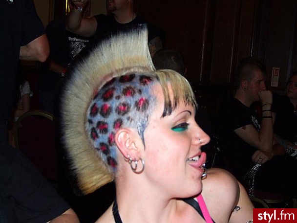 Punk Rock Alternatywne Średnie Fryzury