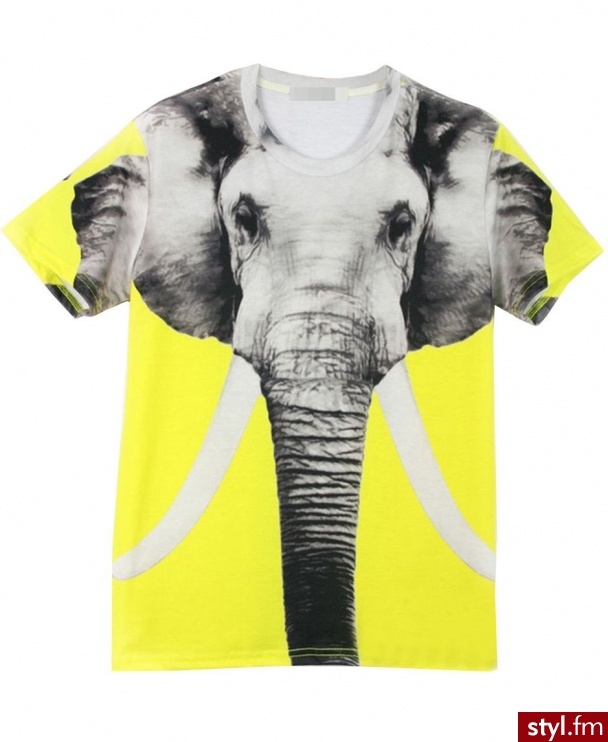 T-shirt Ciuchy Moda