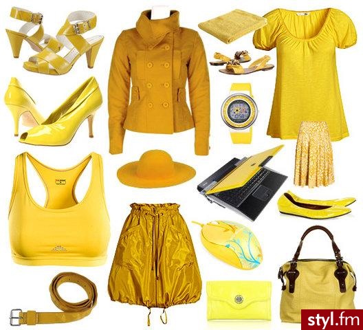 Styler