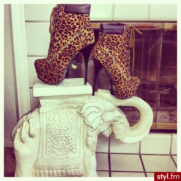 Botki Buty Moda