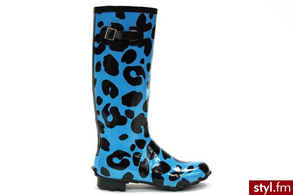 Kalosze Buty Moda