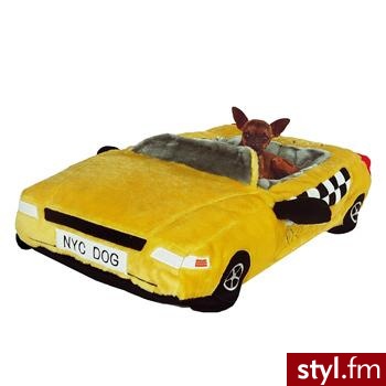 taxi łużko dla psa - Misz-masz