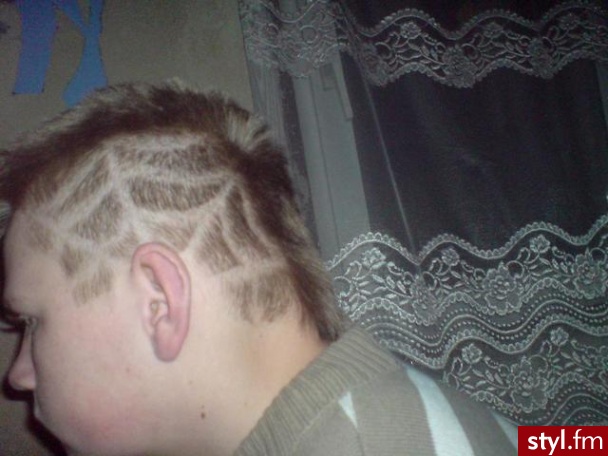Punk Rock Alternatywne Średnie Fryzury