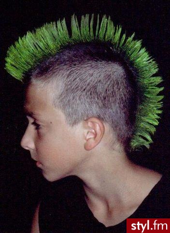 Punk Rock Alternatywne Średnie Fryzury