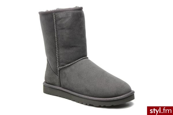 Ugg Australia PÓŁBUTY I BOTKI CLASSIC SHORT BY UGG AUSTRALIA (Szary) - Botki Buty Moda
