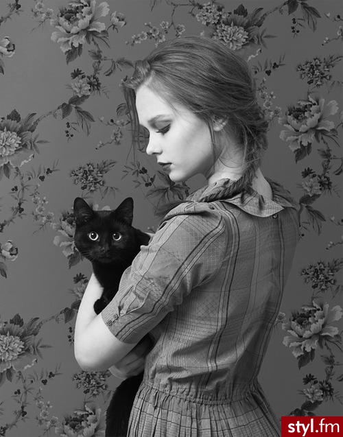 Misz-masz
