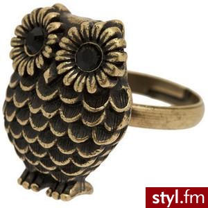 Zdjęcie dodane do bazy zdjęć Stylera - Styler