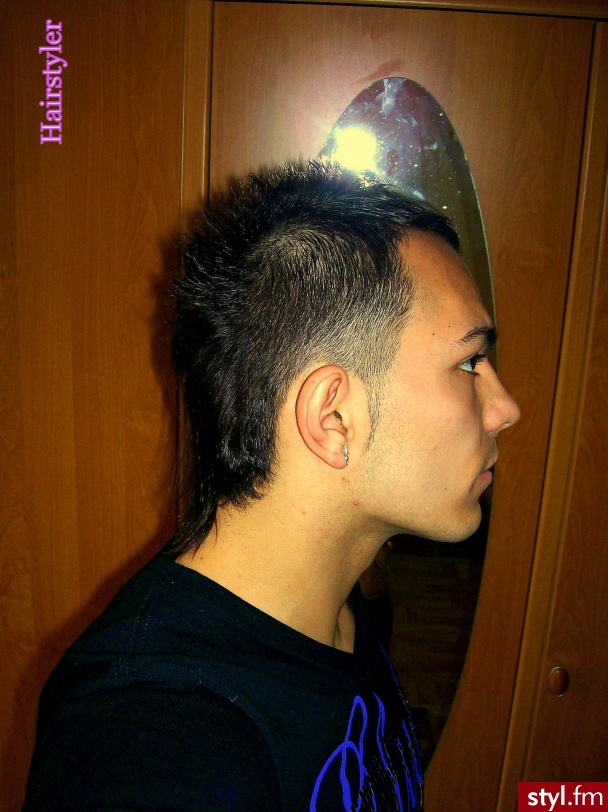 Hairstyler - Punk Rock Alternatywne Średnie Fryzury