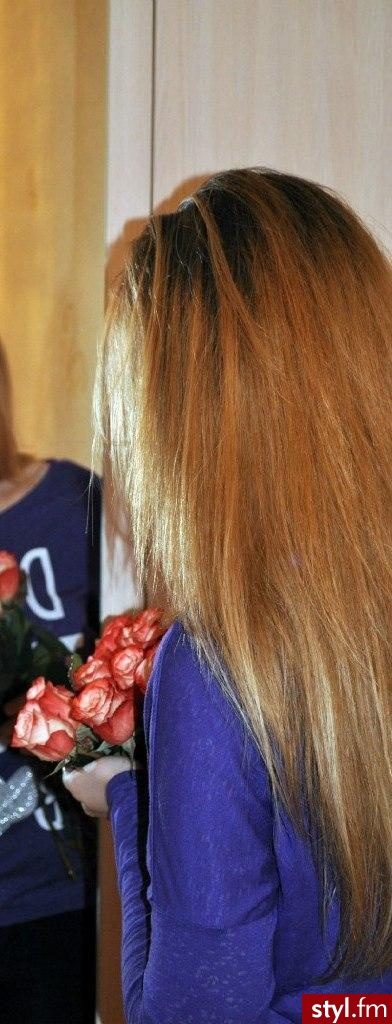 Brązowe Rozpuszczone Proste Na co dzień Długie Fryzury