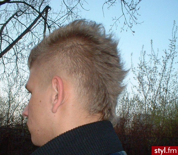 Punk Rock Alternatywne Średnie Fryzury