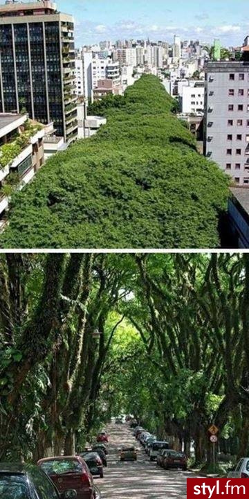 Ulica Concalo de Carvalho, Porto Alegre, Brazylia. - Podróże i miejsca
