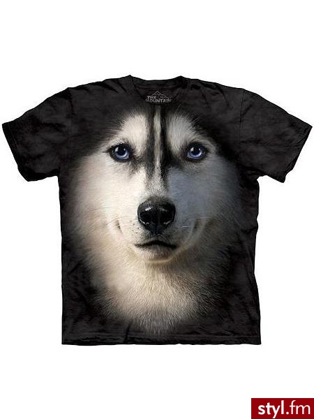 T-shirt Ciuchy Moda