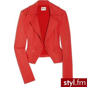 Zdjęcie dodane do bazy zdjęć Stylera - Styler