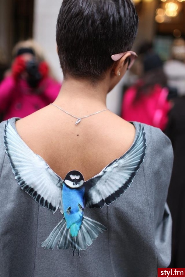 Bluzki Ciuchy Moda