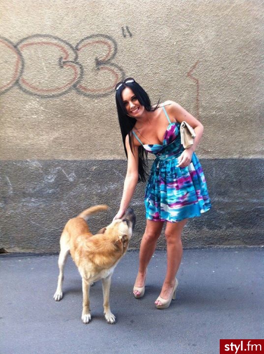 Misz-masz