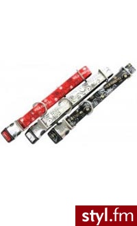 Zolux (466210Bla) Obroza Envy Rozmiar - 21 - 31Cm/10Mm - Biała - Psy Zwierzaki