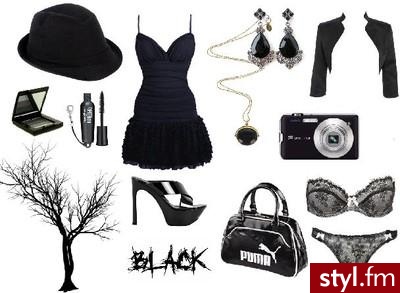 Styler