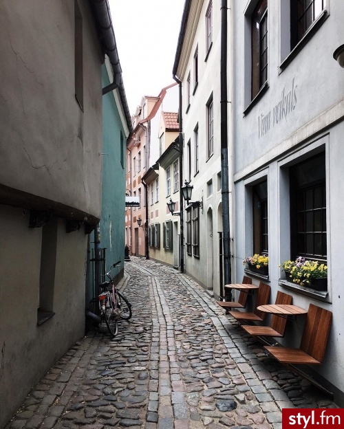 Misz-masz