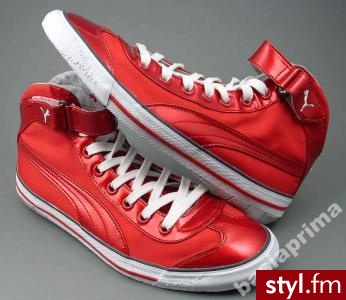 Zdjęcie dodane do bazy zdjęć Stylera - Styler