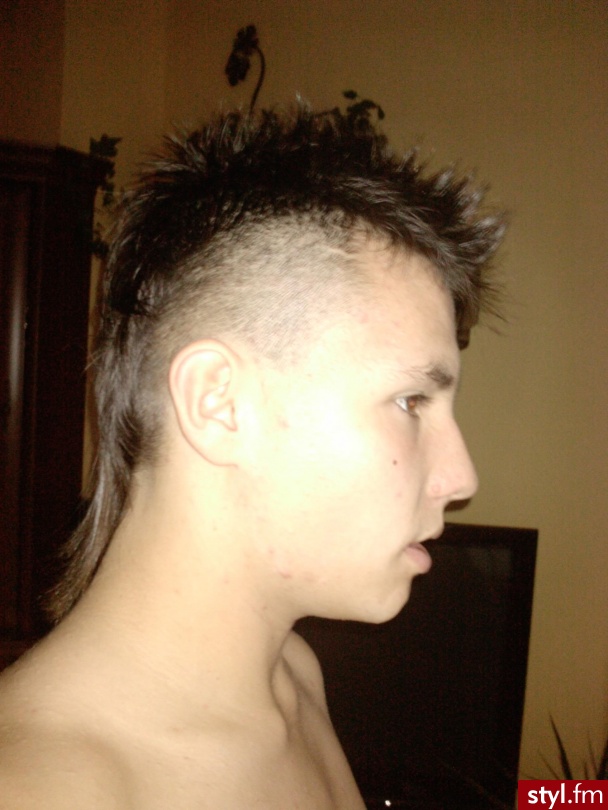 Punk Rock Alternatywne Średnie Fryzury