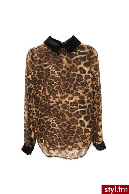 Koszule Ciuchy Moda