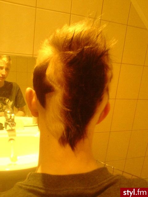 no cóz... moja głowa z tyłu :) - Punk Rock Alternatywne Średnie Fryzury