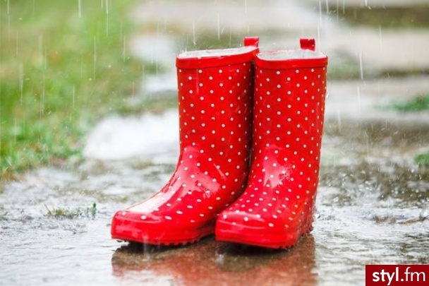 Kalosze Buty Moda