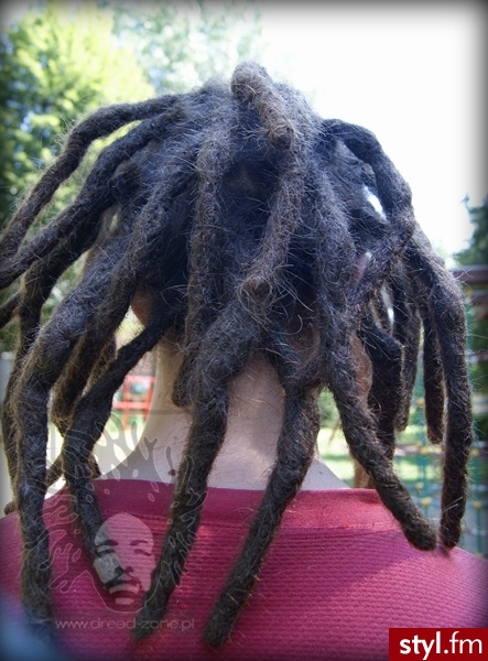 Dready http://www.dread-zone.pl - Dredy Alternatywne Krótkie Męskie Fryzury