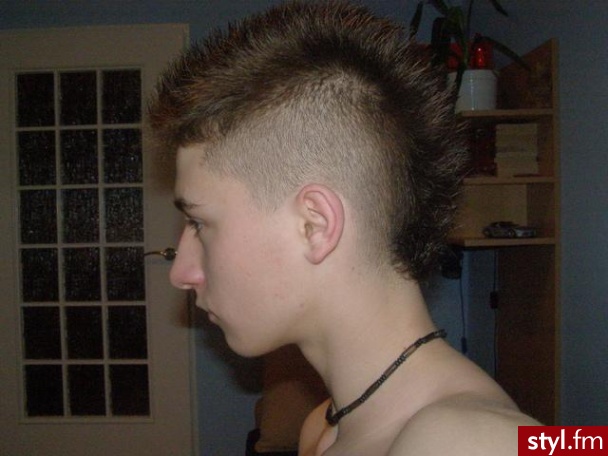 Punk Rock Alternatywne Średnie Fryzury