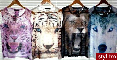 Bluzki Ciuchy Moda