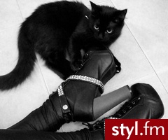 Koturny Buty Moda