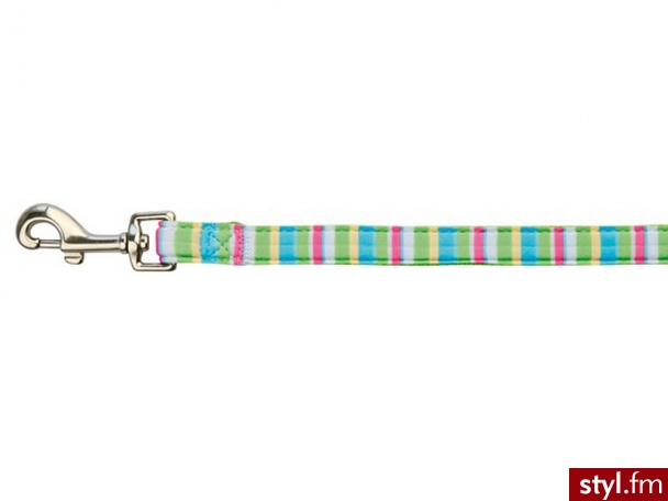 TRIXIE Impression Stripes Adjustable Lead smycz ozdobna 2m/25mm - Psy Zwierzaki