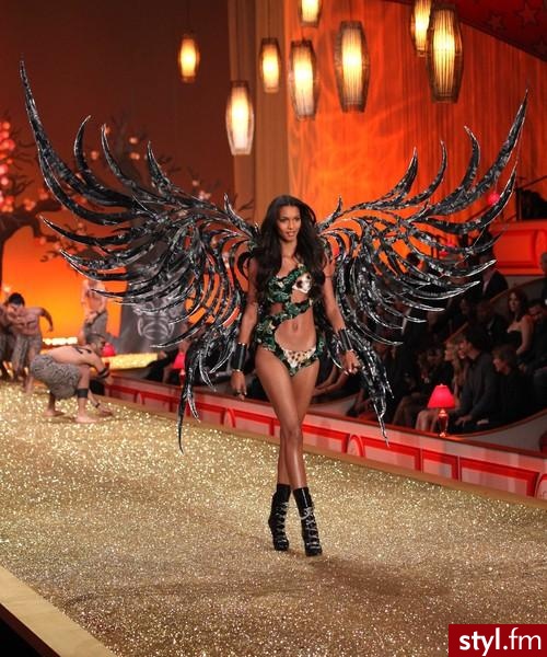 Victoria's Secret. Victoria's Secret - Pozostałe Ciuchy Moda