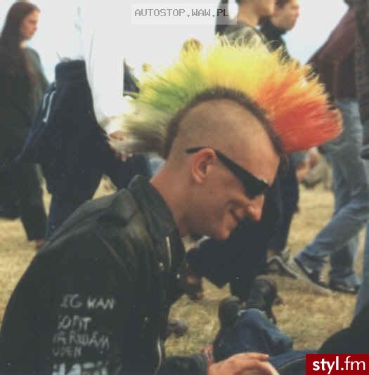 Punk Rock Alternatywne Średnie Fryzury