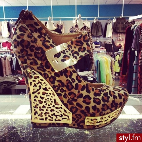 Koturny Buty Moda