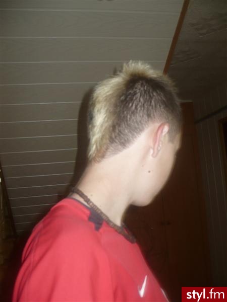 Punk Rock Alternatywne Średnie Fryzury