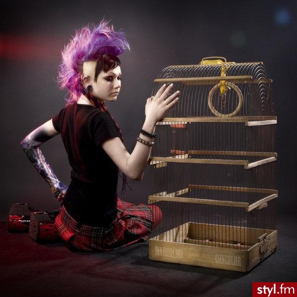 Punk Rock Alternatywne Średnie Fryzury