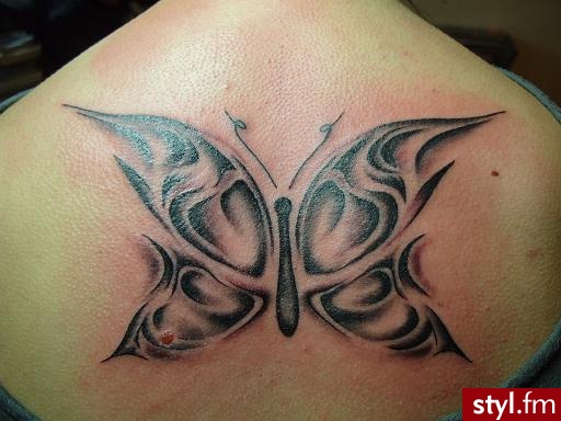 Motyl - Tatuaże