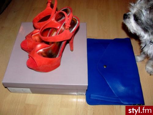 Szpilki Buty Moda