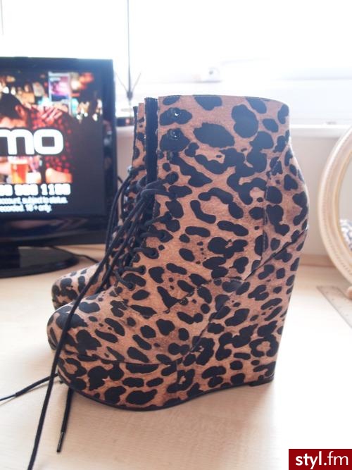 Koturny Buty Moda